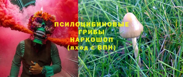 бошки Балахна