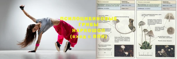 хмурый Баксан